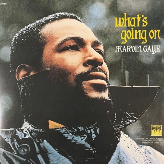 Marvin Gaye ‎"What's Going On" (LP - 180g - Gatefold)