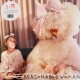 Sia ‎"Reasonable Woman" (LP - Incredible Baby Blue)