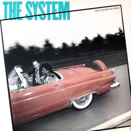 The System ‎"Don't Disturb This Groove" (LP)*