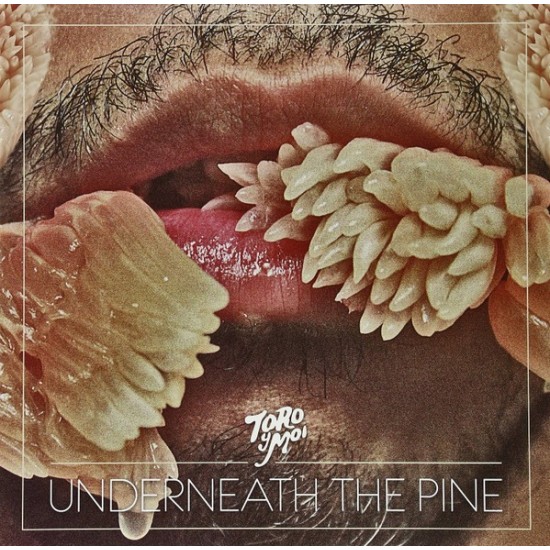 Toro Y Moi ''Underneath The Pine'' (LP)* 