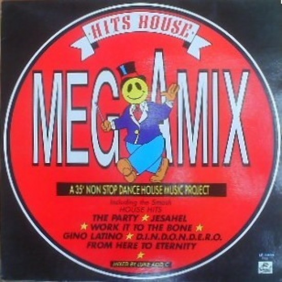 Hits House Megamix (LP)