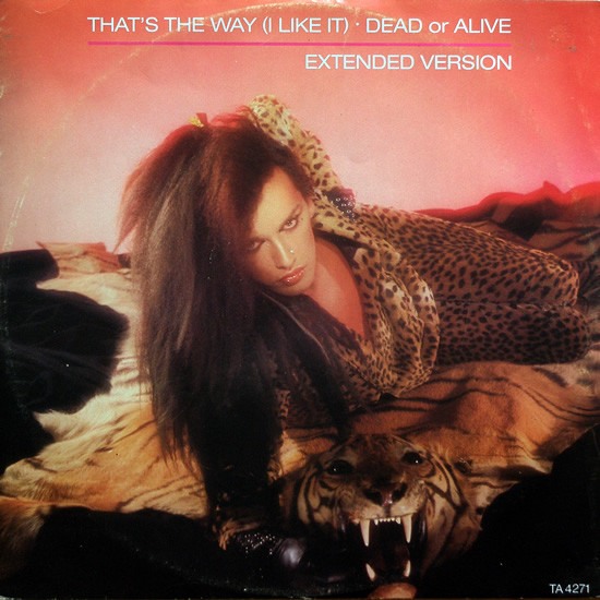 Dead Or Alive ‎"That's The Way (I Like It) (Extended Version)" (12")