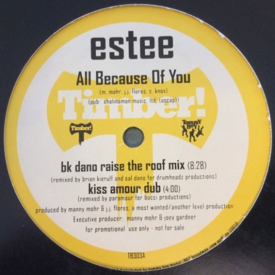 Estee ‎"All Because Of You" (12" - Promo)