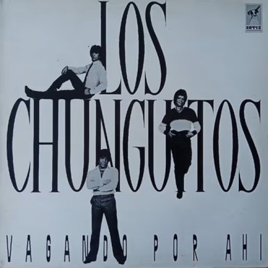 Los Chunguitos - Vagando Por Ahí (LP)